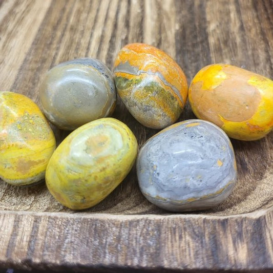 Bumblebee Jasper Tumbles