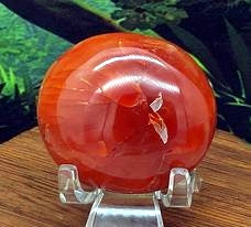 Carnelian Palm #11