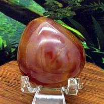 Carnelian Palm #12