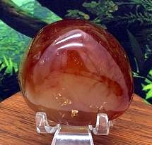 Carnelian Palm #13