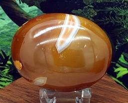 Carnelian Palm #1