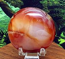 Carnelian Palm #2