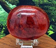 Carnelian Palm #3