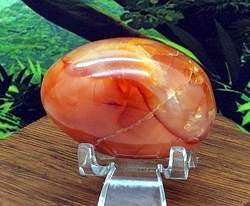 Carnelian Palm #5