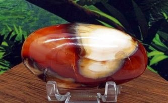 Carnelian Palm #6  