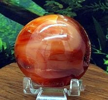 Carnelian Palm #9