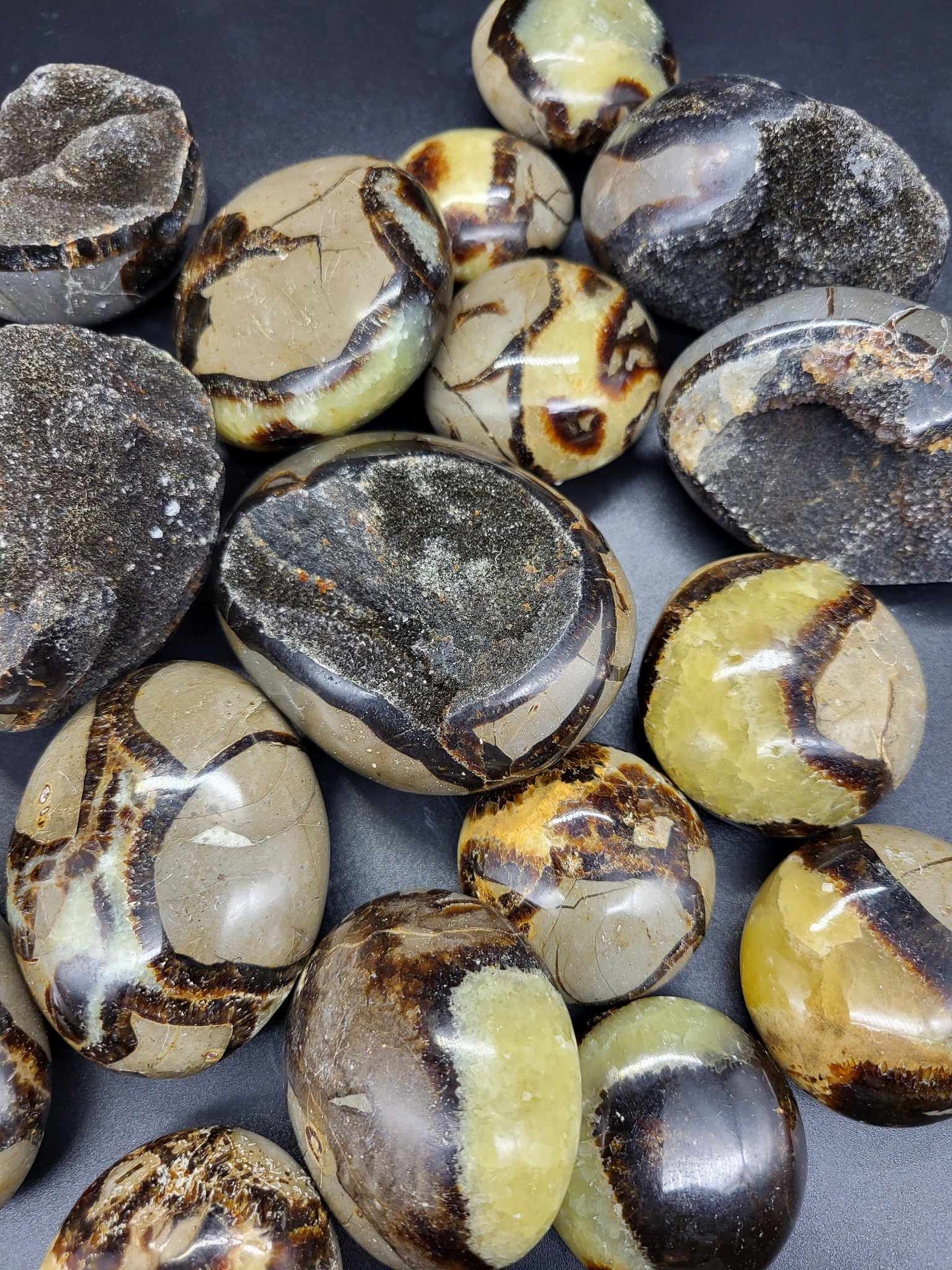 Septarian Palms $3-$12