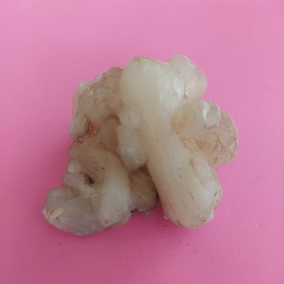 Zeolite Flat #12