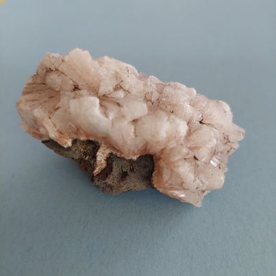 Zeolite Flat #12