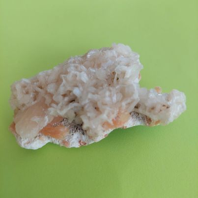 Zeolite Flat #12