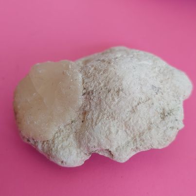 Zeolite Flat #8