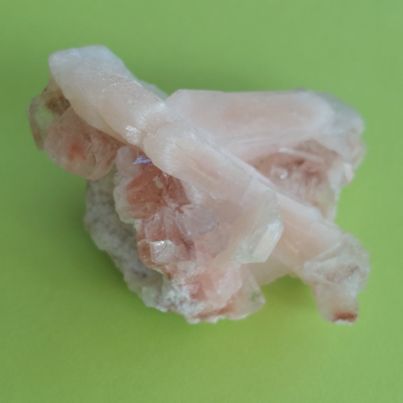 Zeolite Flat #4