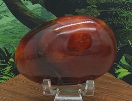 Carnelian Palms #16