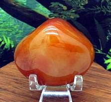 Carnelian Palms