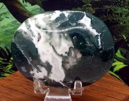 Moss Agate Palms