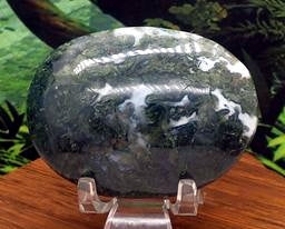 Moss Agate Palms