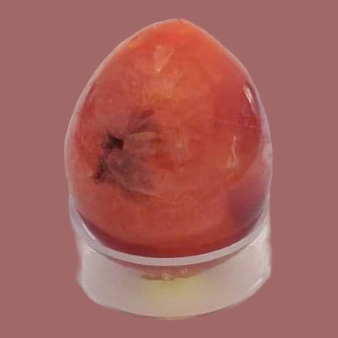 Carnelian Egg