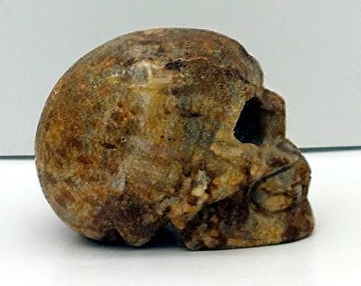 C0ral Skull