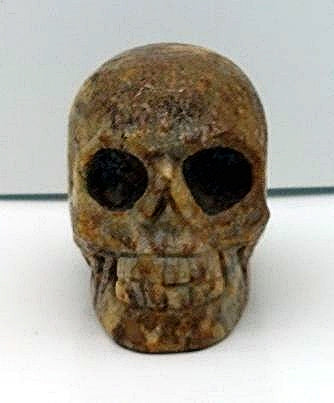 C0ral Skull