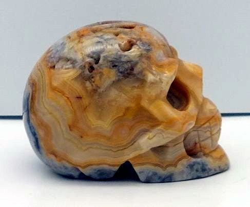 Crazy Lace Agate Skull