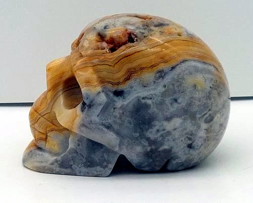 Crazy Lace Agate Skull