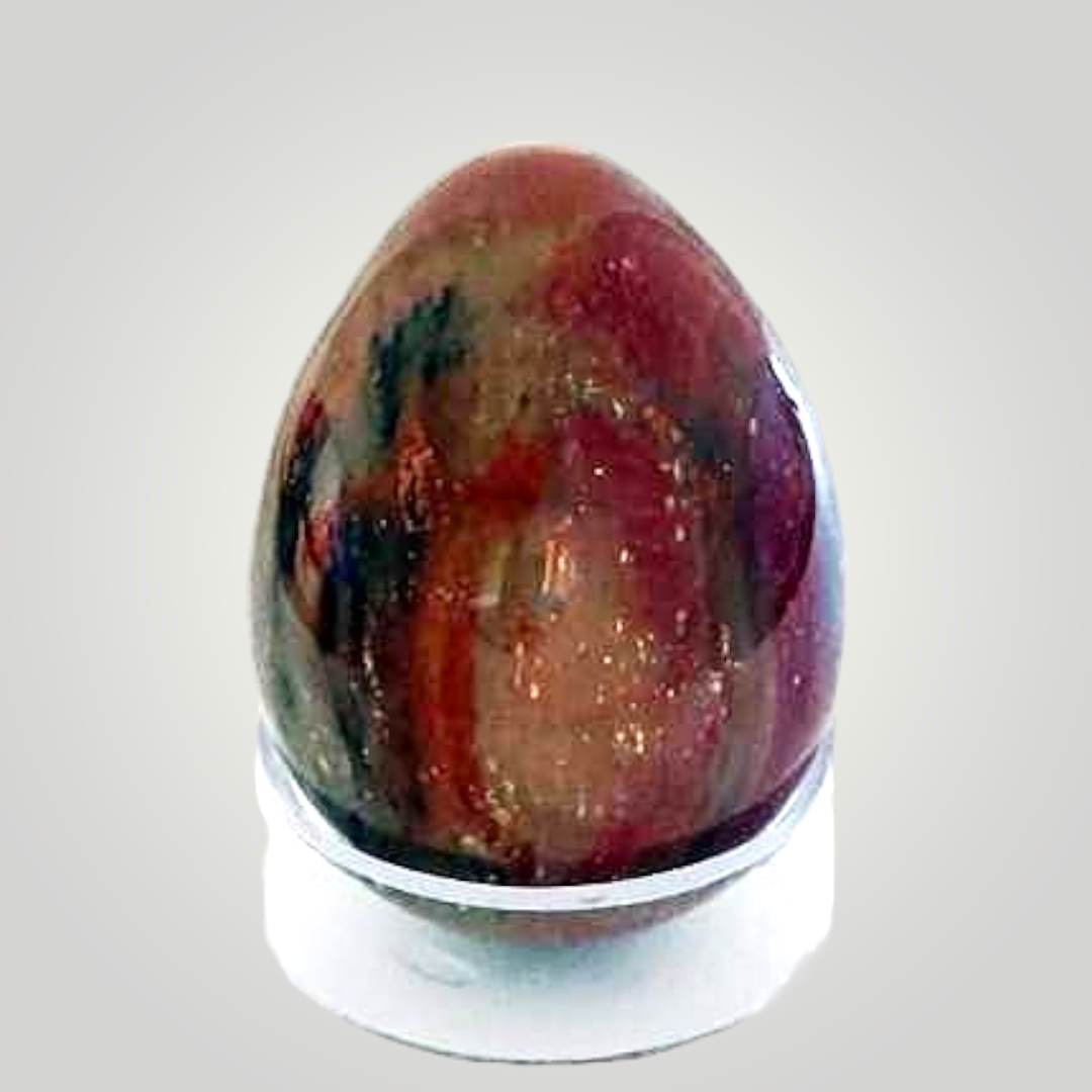 Petrified Wood Egg