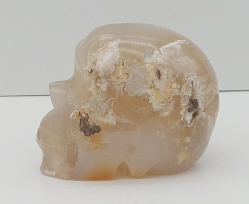 Flower Agate SKull