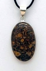 Turtella Oval Pendant