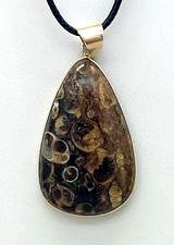 Turtella Teardrop Pendant