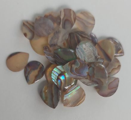 Abalone Shell Cabochons