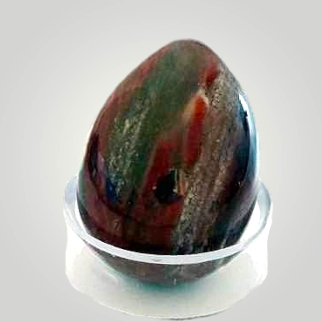 Petrified Wood Egg