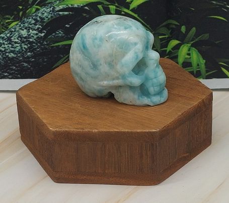 Skull Carvings 2"