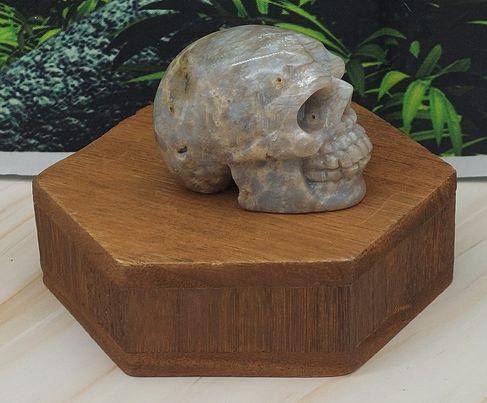 Skull Carvings 2"