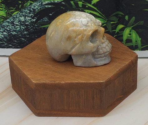 Skull Carvings 2"