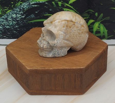 Skull Carvings 2"