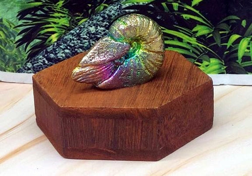 Bismuth Snail