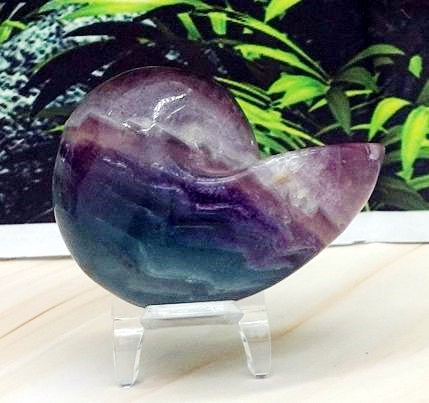 Fluorite Snail