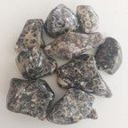 Turritella Agate Tumbles